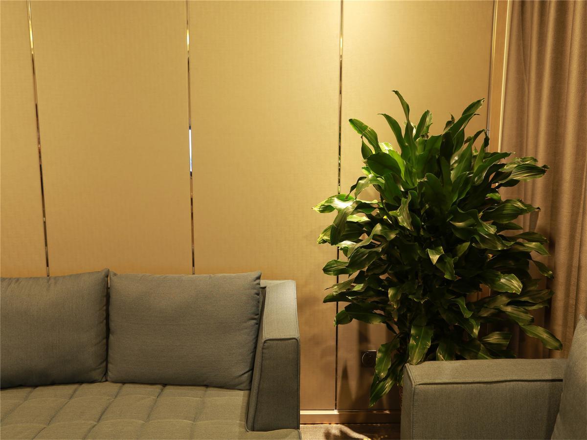 Aulicare Collection Hotel Harbin Dış mekan fotoğraf