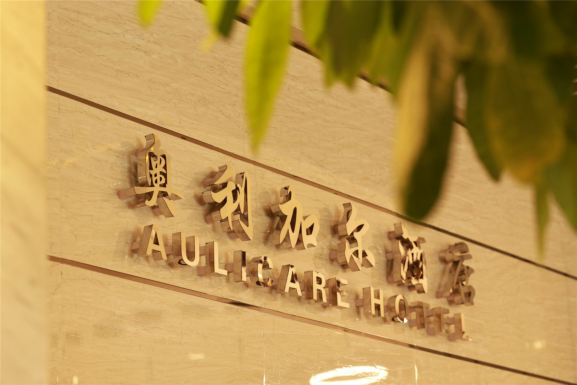 Aulicare Collection Hotel Harbin Dış mekan fotoğraf